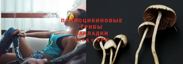 гашик Абдулино