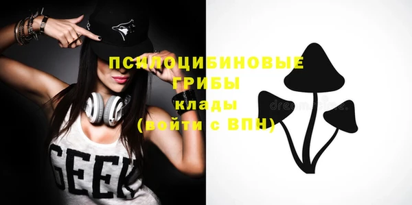 дмт Абаза