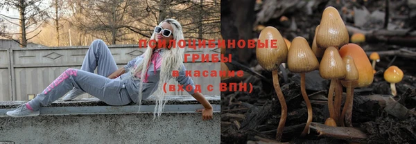 гашик Абдулино
