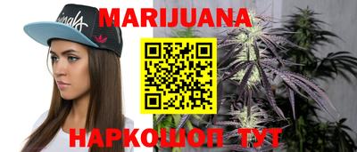 гидропоника Брянск