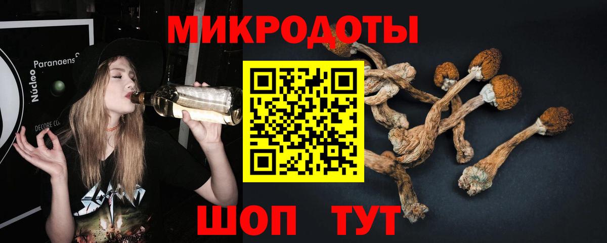 Галлюциногенные грибы Cubensis  Вход с VPN  Галлюциногенные грибы Cubensis  Саранск 